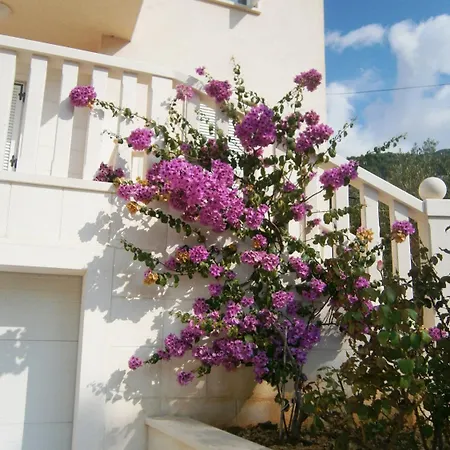 Apartman As Bol