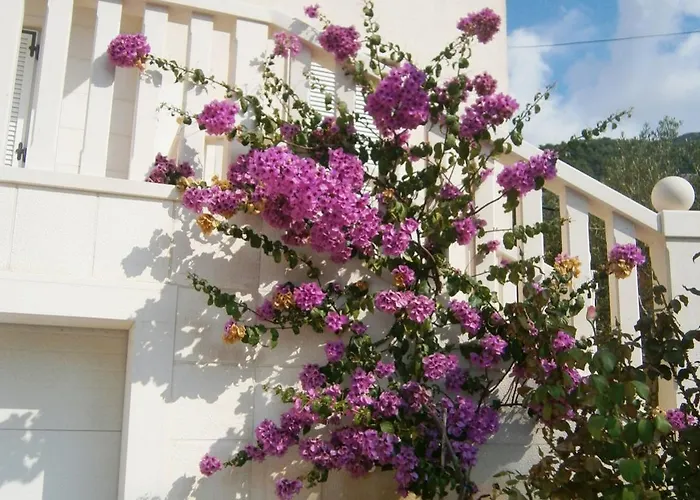 Lejlighed As Bol