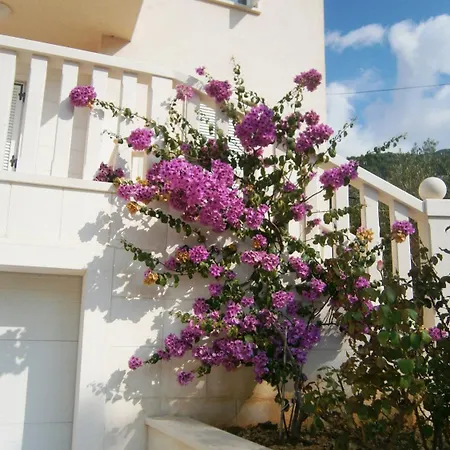 Apartman As Bol
